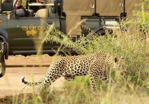 Eco-Friendly Pilanesberg 3 Day Luxury Safari